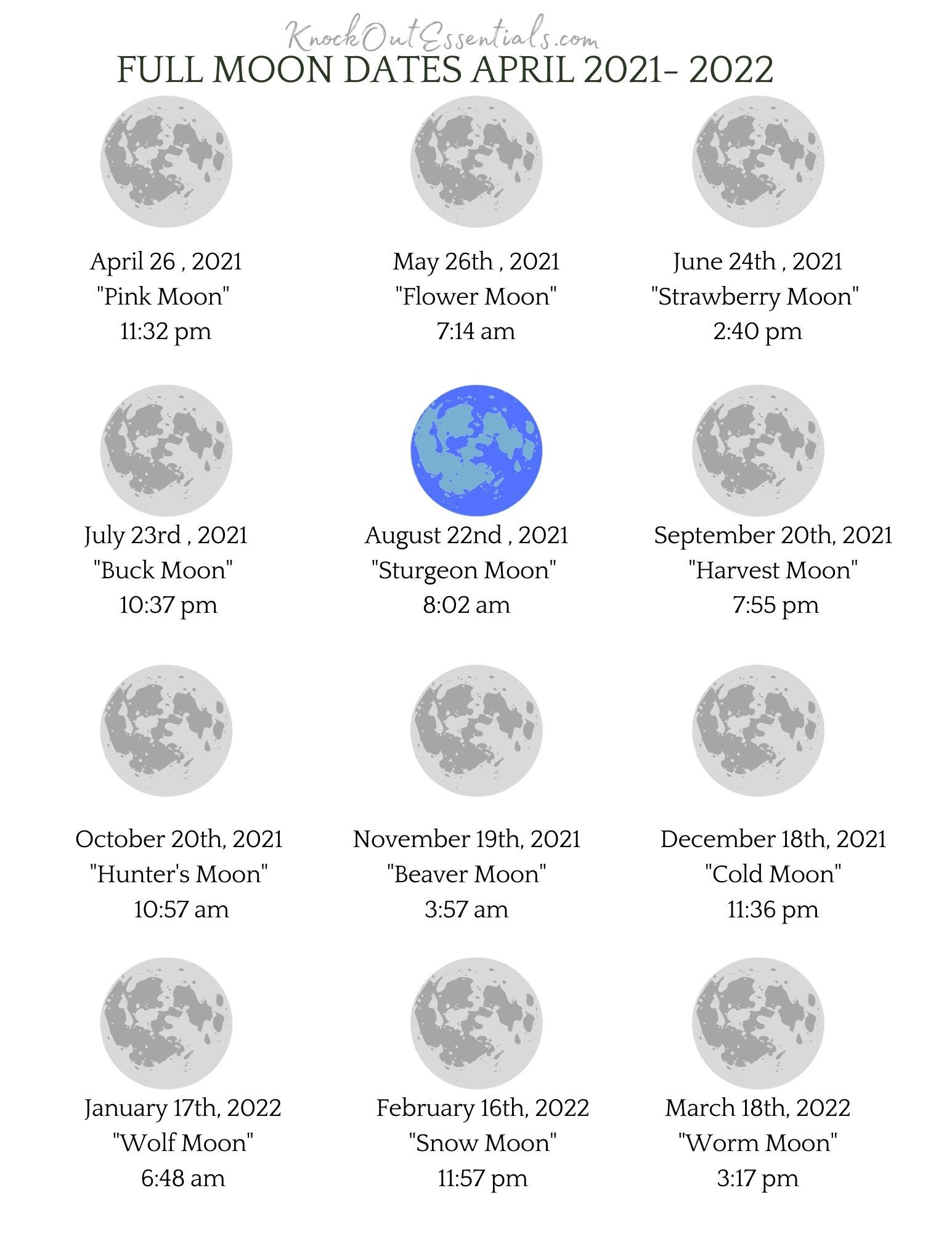 Moon Calendar Spring 2021 - Spring 2022 - Knockout Essentials