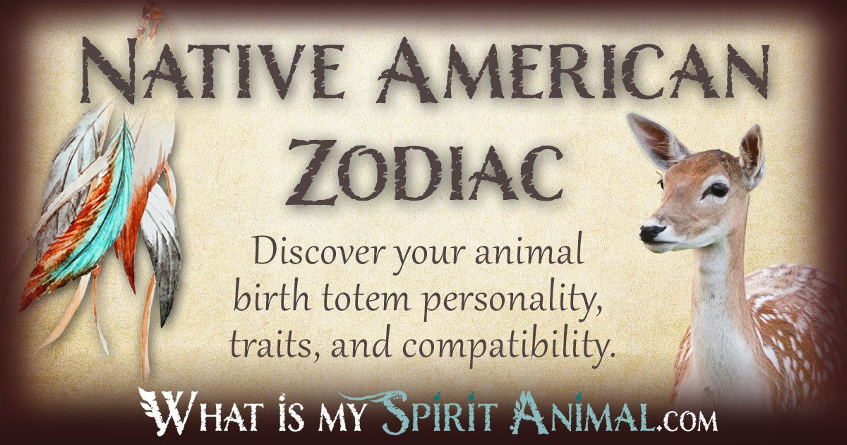 Native American Zodiac &amp; Astrology | Animal Birth Signs