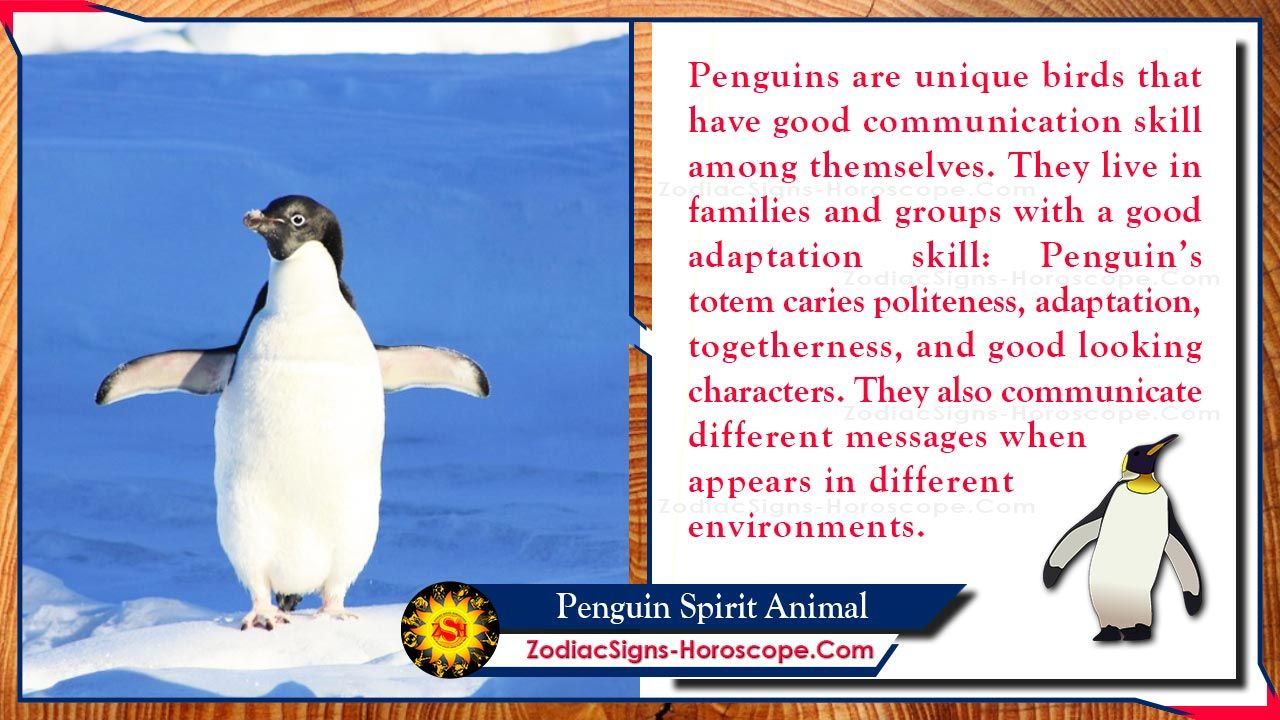 Penguin Spirit Animal: Meaning, Messages, Symbolism And