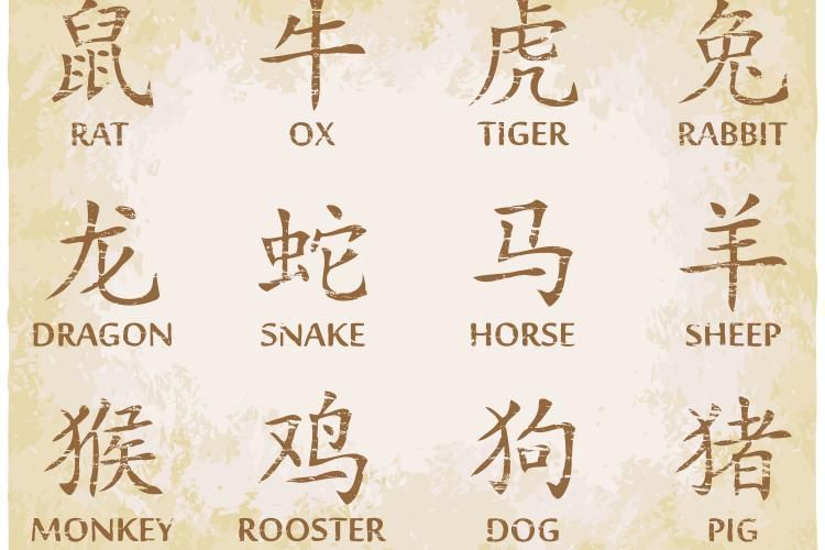Pin On The Monkey (Chinese Zodiac)