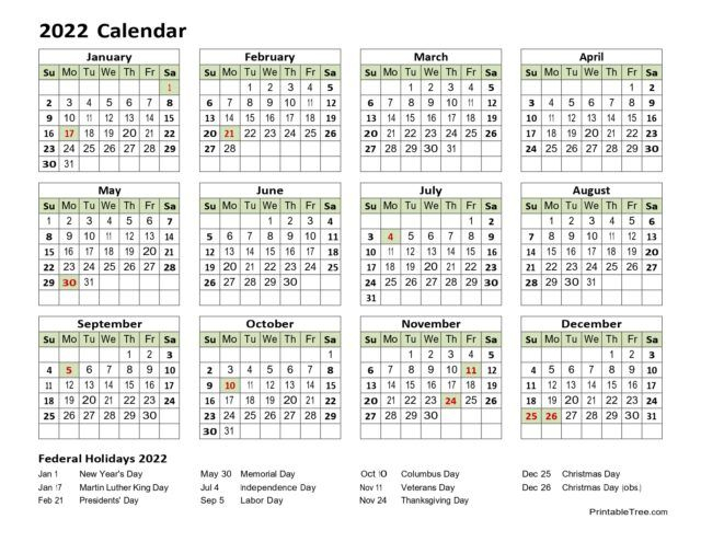 Printable Calendar 2022 One Page With Holidays (Single