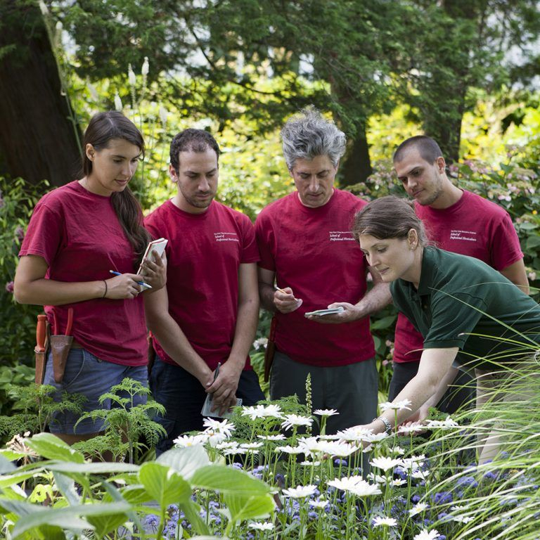 School Of Professional Horticulture » New York Botanical