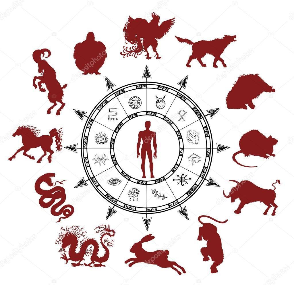 Silhouettes Of Chinese Zodiac Animals — Stock Vector