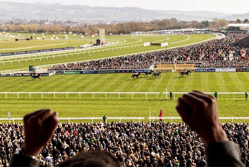 The Festival, Cheltenham 2022 | Lollipop Box | Csm Hospitality