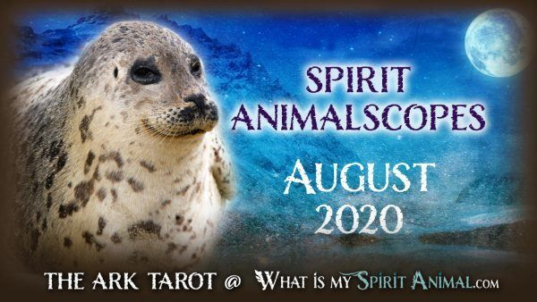 What Is My Spirit Animal | Spirit, Totem, &amp; Power Animals