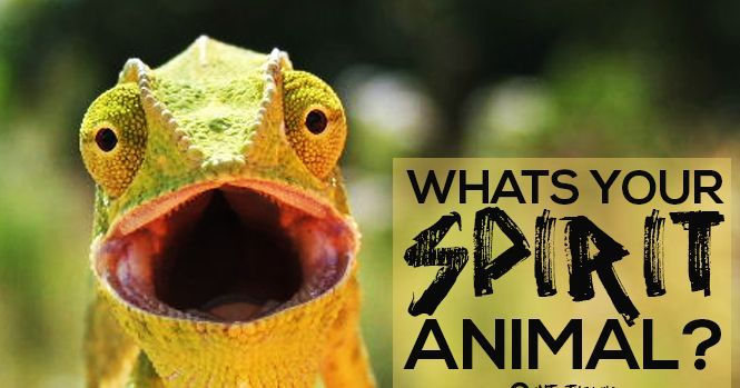 What Is Your Spirit Animal? | Playbuzz