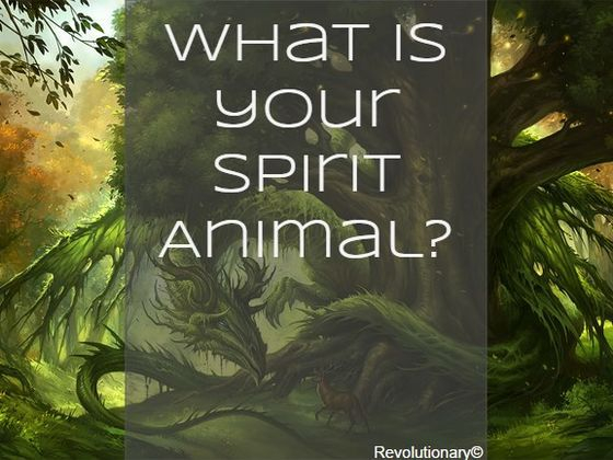 How to How To Find Your Chinese Spirit Animal