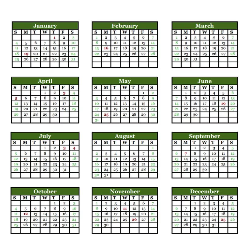 Detailed 2026 yearly calendar template marking important US national federal holidays