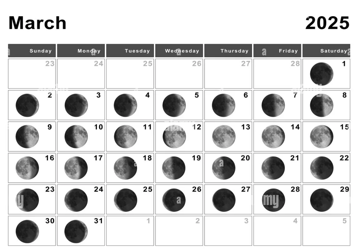 moon phases 2025 calendar illustration